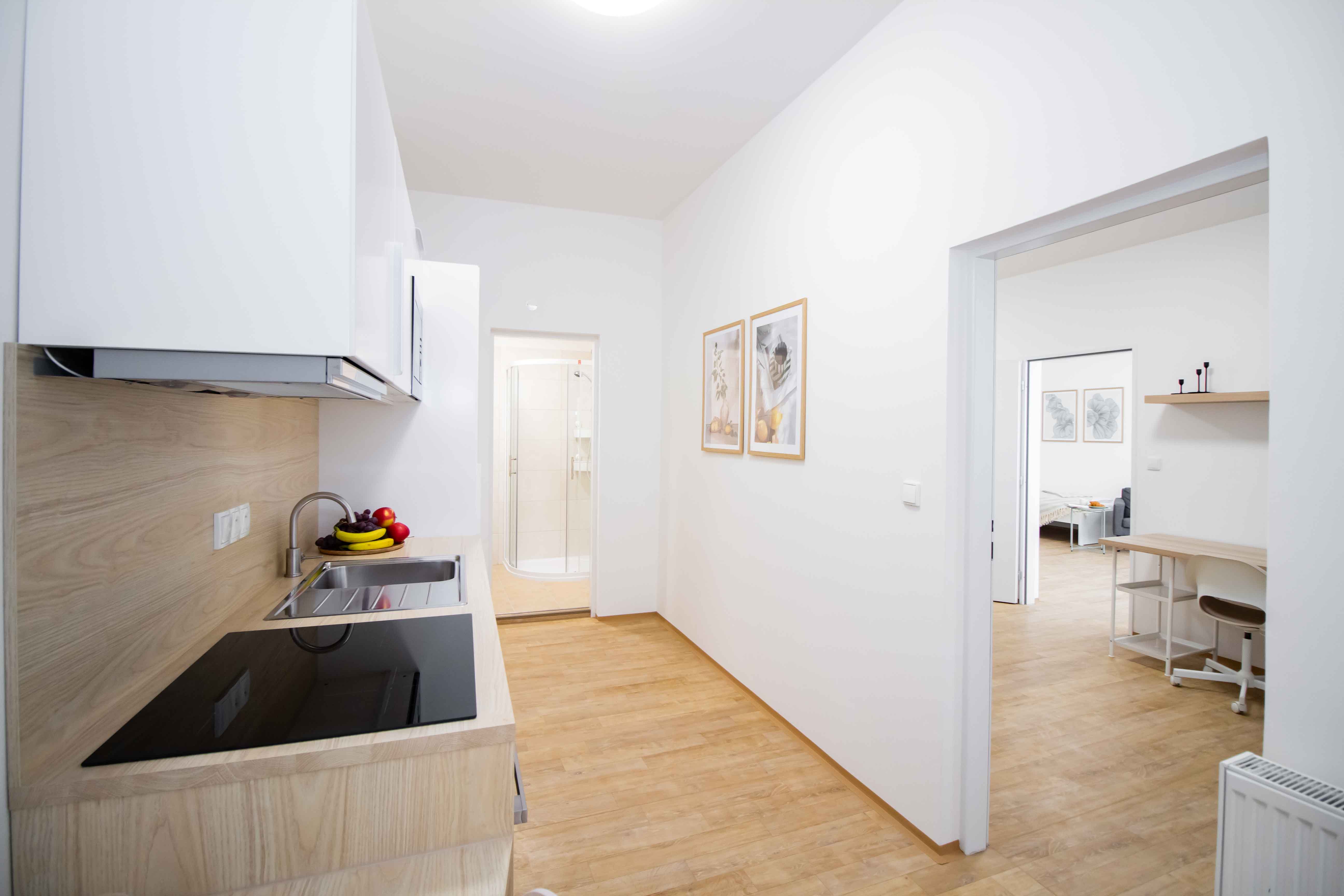 Pronájem lůžek v nově zrekonstruovaném moderním bytě 2+1, centrum Brna – ideální pro 4 studenty — foto 18