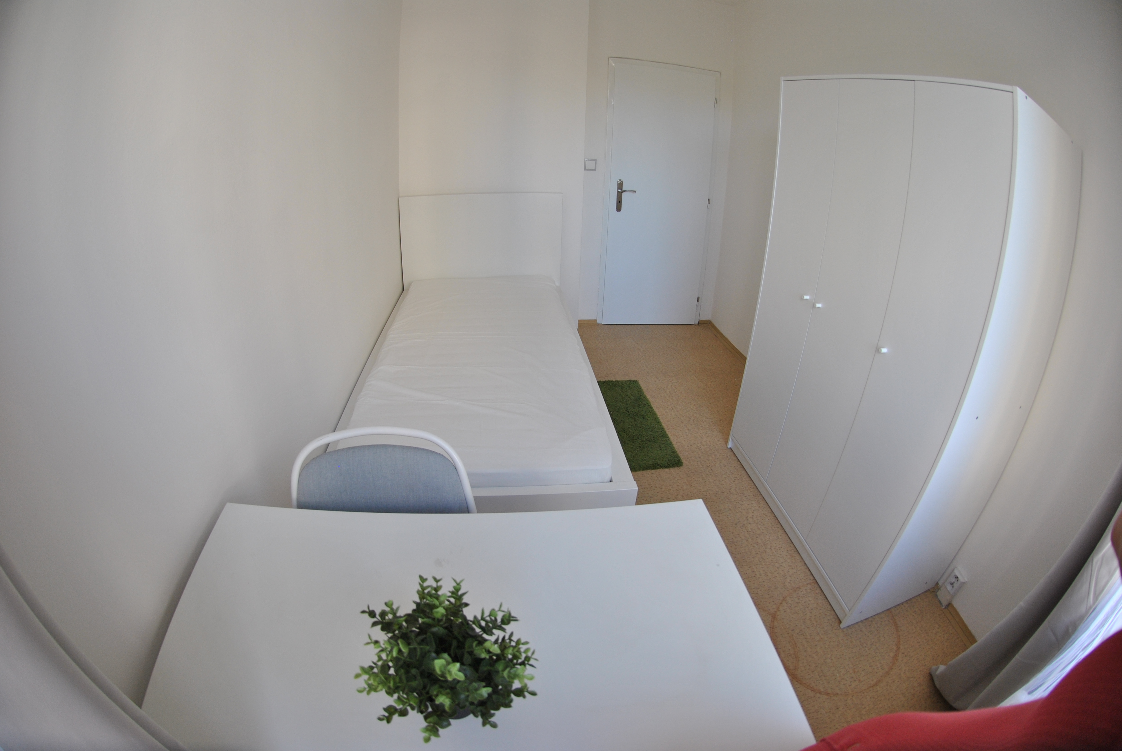 Útulný jednolůžkový pokoj ve sdíleném bytě se 4 ložnicemi | Brno – Bohunice — foto 3